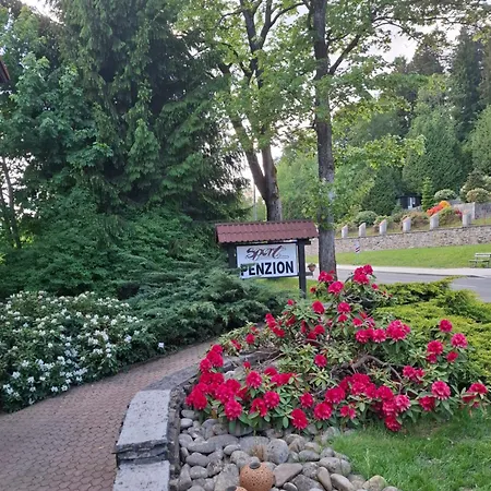 Séjour chez l'habitant Sport Penzion, Železná Ruda